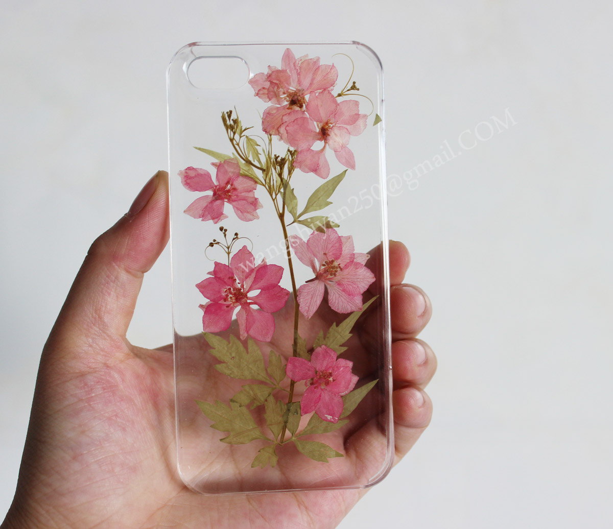Iphone 6 Case,pressed Flower Phone Case,iphone 6 Plus Case,real Flowers